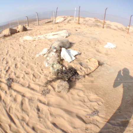بعض المخلفات في الجزر﻿