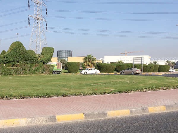 رواد ديوانية الوقيت لـ «الأنباء»: الرابية تعاني من فوضى مرورية ونطالب بإنشاء مراكز رياضية وترفيهية لاستغلال طاقات الشباب