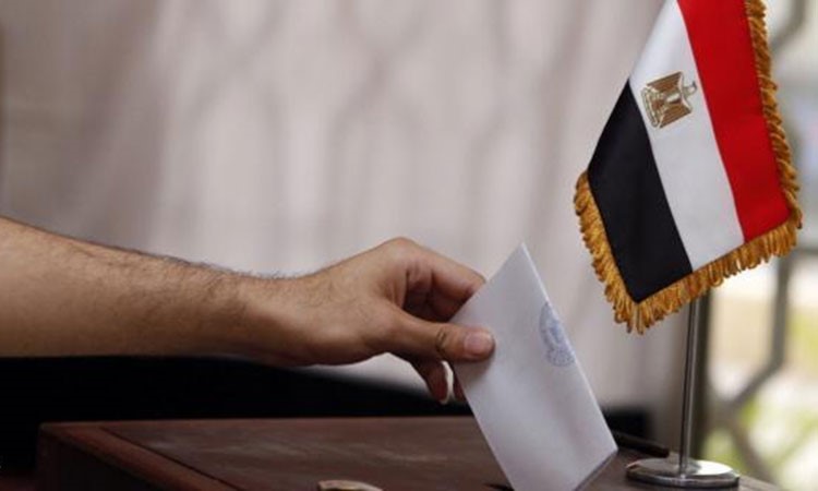 حكم قضائي بإعادة الانتخابات في المنصورة