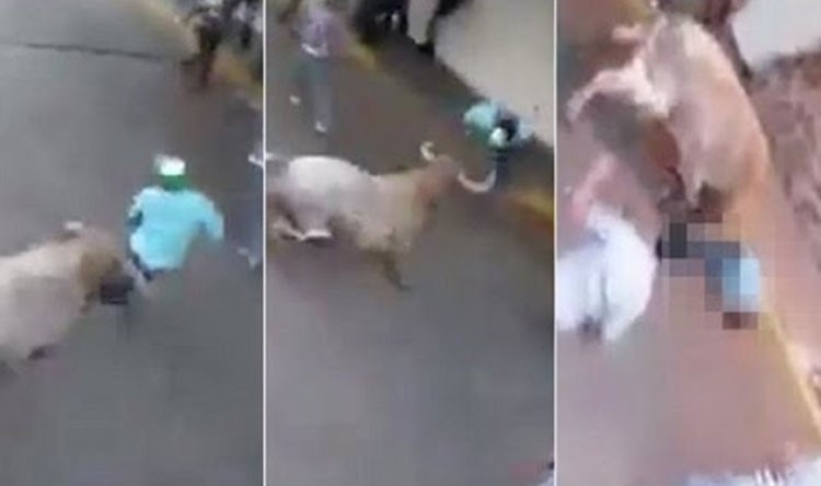 بالفيديو.. ثور هائج يوجّه نطحة عنيفة لشاب ويرديه قتيلاً 
