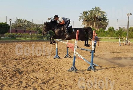 بالفيديو.. أحمد السقا يستعرض مهارته في ركوب الخيل