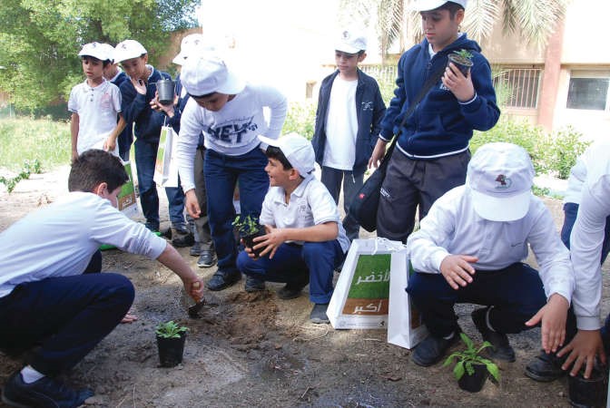 زراعة الشتلات في حديقة مدرسة عبدالعزيز الرشيد الابتدائية