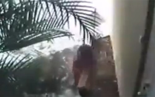 بالفيديو.. والد يشجع طفلته ذات الـ 3 أعوام على السرقة في وضح النهار