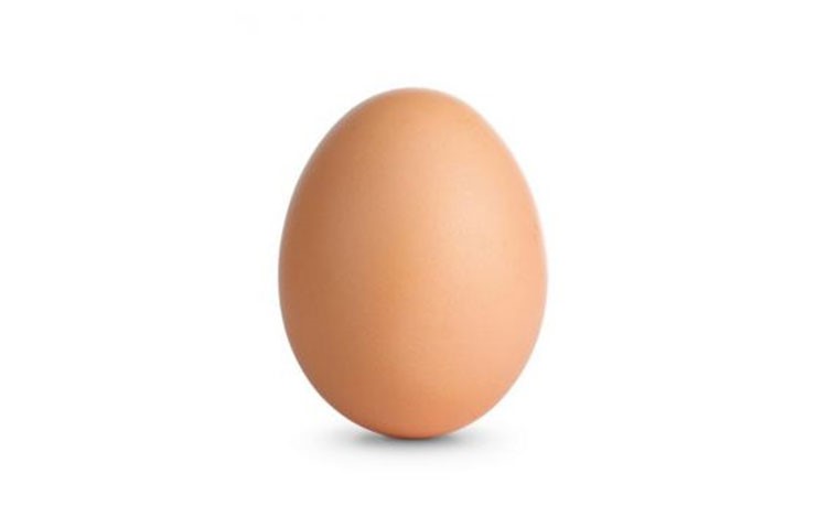 بالفيديو.. لن تتخيّل ماذا يوجد داخل هذه البيضة؟
