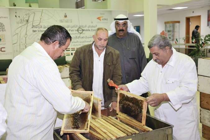  احمد الطرموم وموليد التطاوي يتابعان عملية الفرز﻿