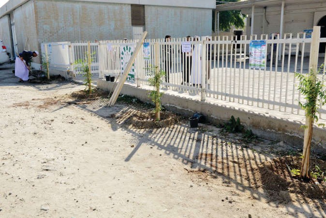  الاشجار بعد زرعها بجوار سور المسجد	﻿