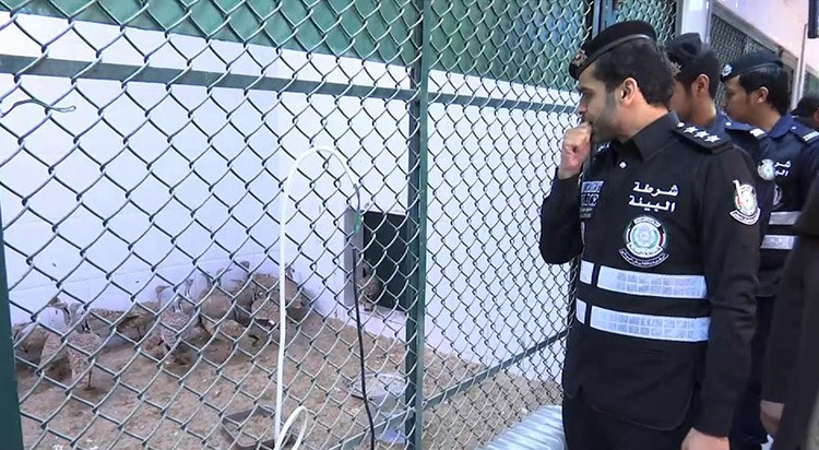 بالفيديو.. شرطة من نوع جديد في الكويت تبدأ عملها 