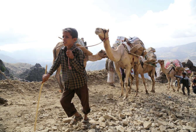 يمنيون ينقلون المواد الغذائية بالجمال عبر الجبال الوعرة امس الاول بسبب حصار الحوثيين لتعز	رويترز ﻿
