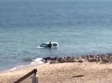 المركبة الغارقة في بحر المنقف﻿