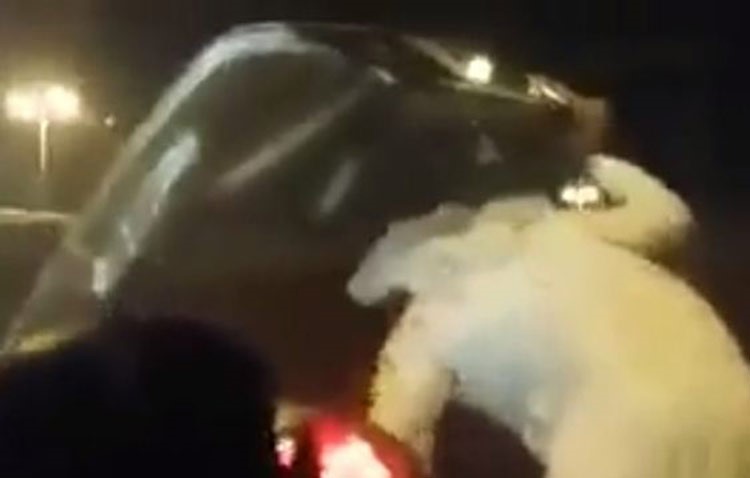 بالفيديو.. خليجي يعتدي بالضرب على شاب مصري برفقة والدته ويحطم سيارتهما