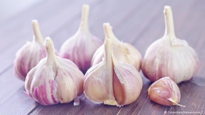 بالفيديو.. الرجل المنبعثة منه رائحة الثوم أكثر جذبا للنساء!