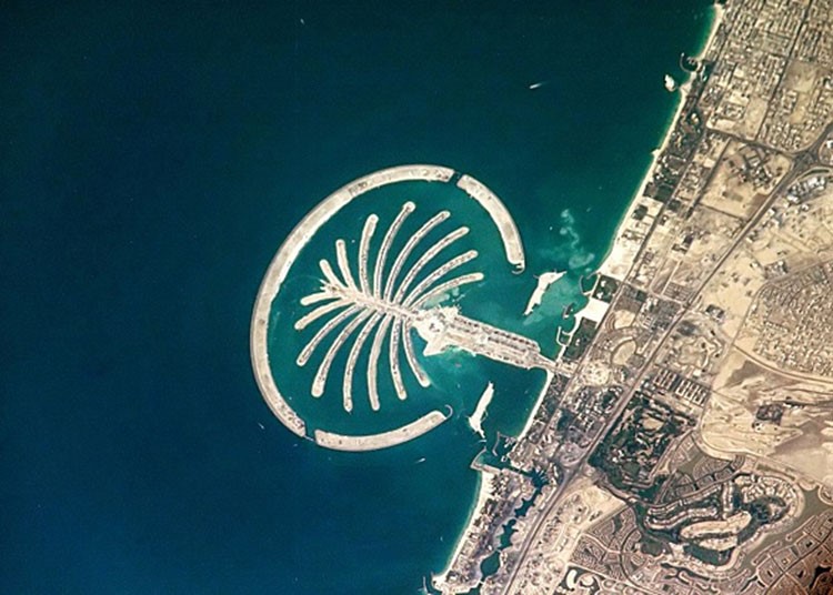 جزيرة النخلة