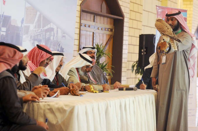  عرض احد الصقور المشاركة امام الجمهور ﻿