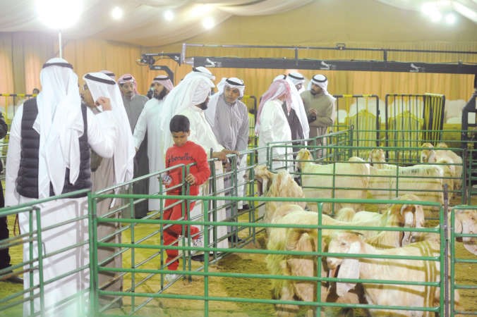 اقبال كبير على مسابقات مهرجان الموروث الشعبي﻿