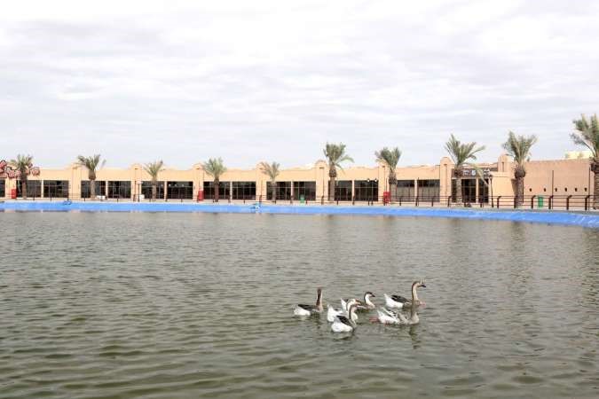 المطاعم تحيط بالبحيرة﻿