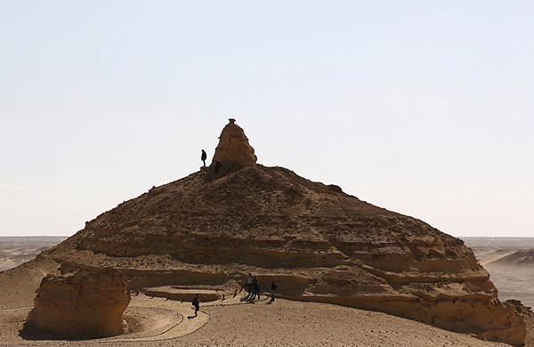 اكتشاف «الحوت الأكمل» بالفيوم