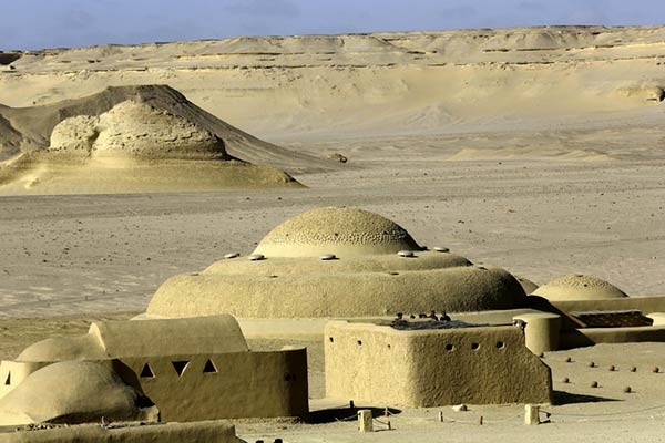 اكتشاف «الحوت الأكمل» بالفيوم