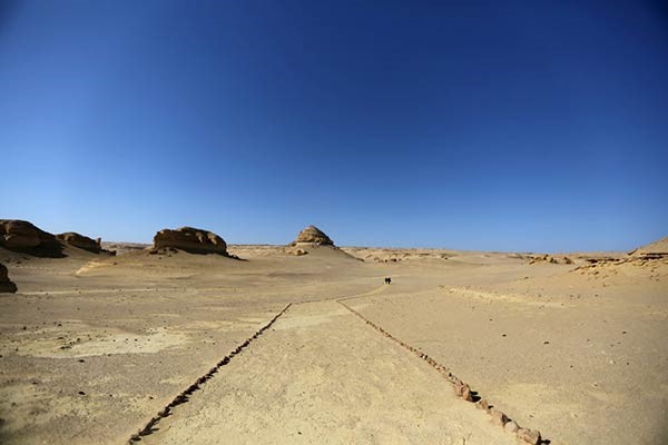 اكتشاف «الحوت الأكمل» بالفيوم