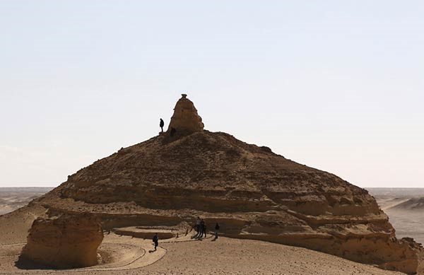 اكتشاف «الحوت الأكمل» بالفيوم