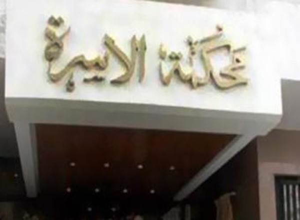 فى دعوى خلع.. سيدة بمصر الجديدة:"زوجى بيعامل القطط بعنف وبيتهمني بالتفاهة وموت قططي"