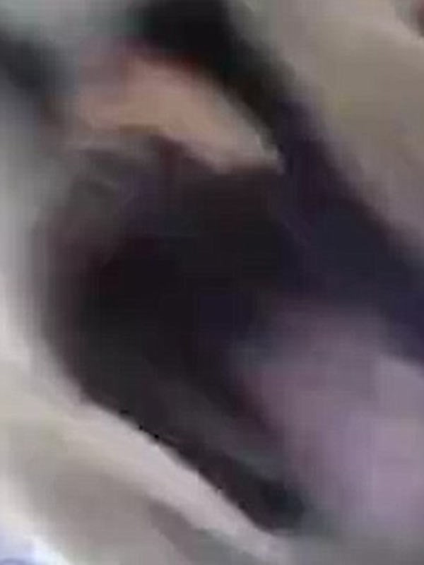 بالفيديو والصور.. أسد يهاجم الكاميرا خلال التقاط «سيلفي» له