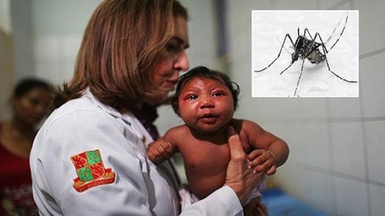 البعوضة ايجبتي بشكل خاص تسبب ضمورا في الجمجمة