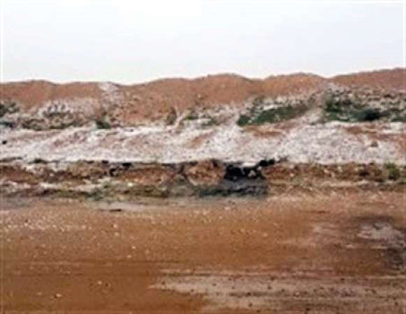 الثلوج تغطي بر السالمي