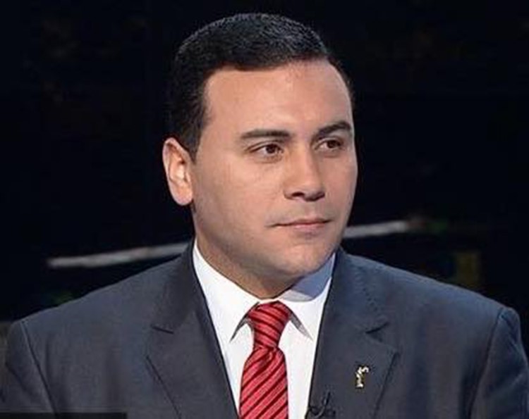 دعوى قضائية لحل قائمة «في حب مصر»