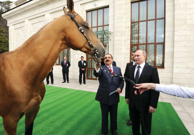 الرئيس الروسي فلاديمير بوتين يهدي عاهل البحرين الملك حمد بن عيسى حصانا من سلالات اسيا الوسطى العريقة	 اپ﻿