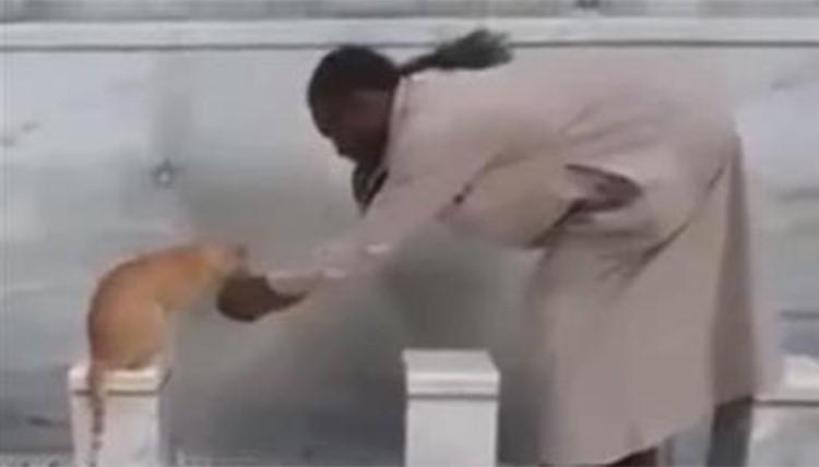 بالفيديو.. رجل يسقي قطة بيديه في المسجد الحرام