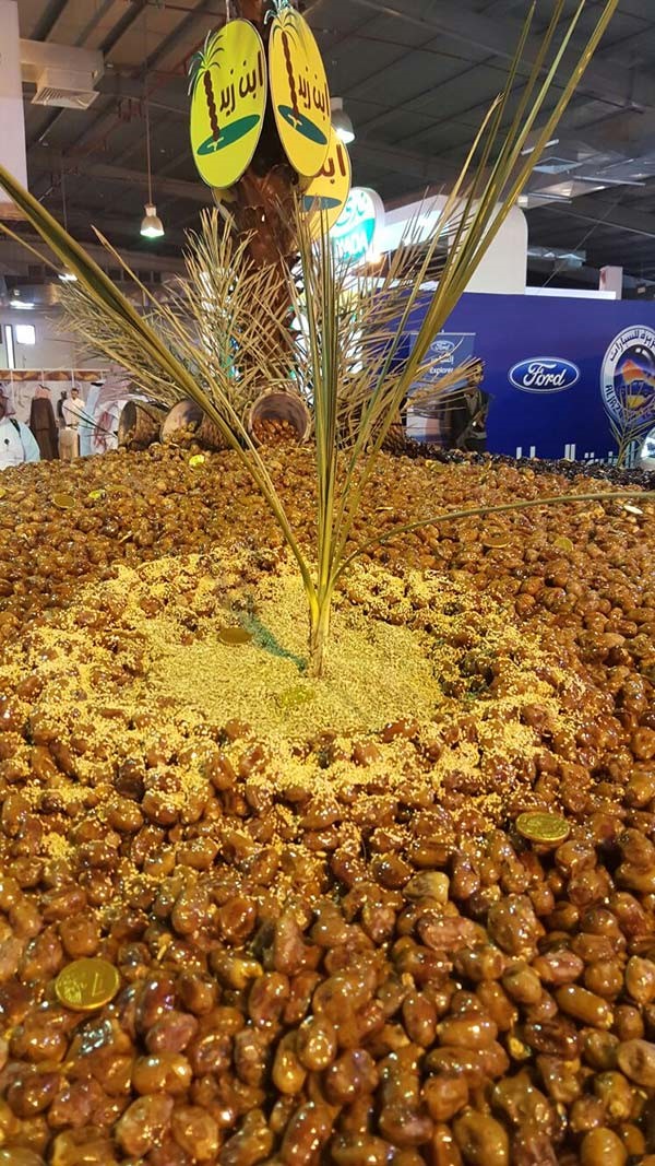 بالصور.. مليون تمرة على طبق واحد في الأحساء