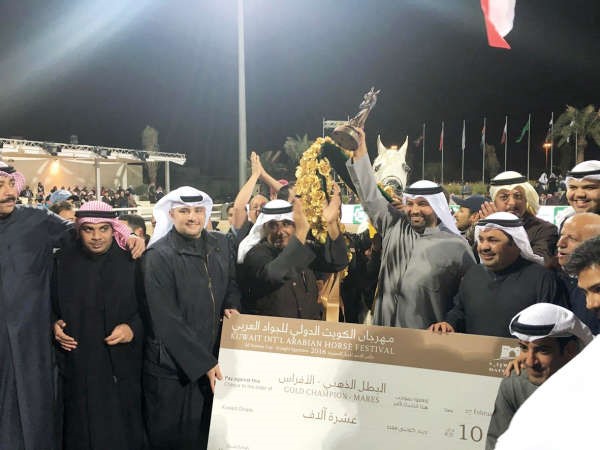 تكريم الفائزين في ختام المهرجان ﻿