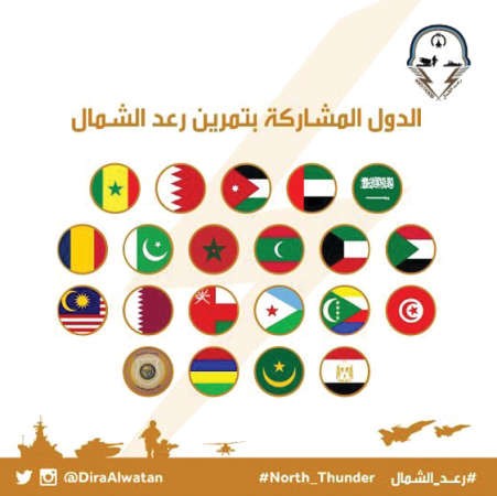 اعلام الدول المشاركة في المناورة