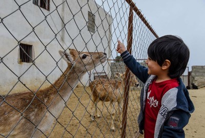 بالصور.. سعودي يفتح حديقة حيوان في منزله