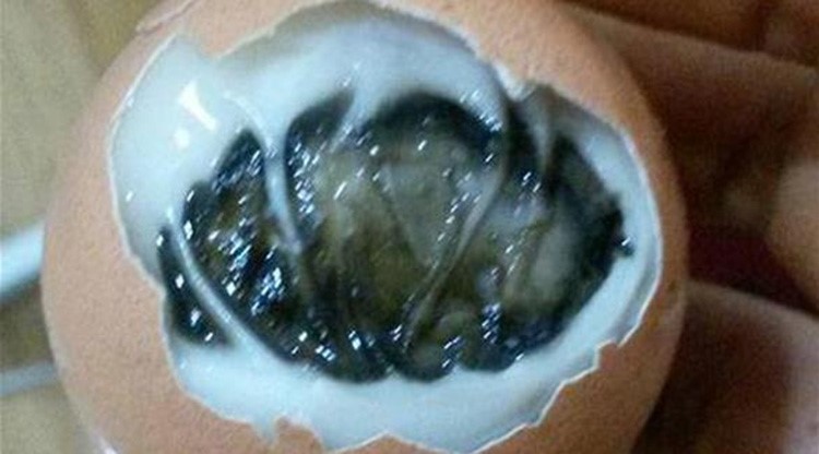 صورة.. شاهد ماذا وُجد داخل بيض مسلوق
