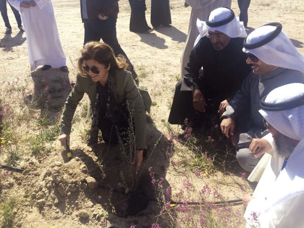 دسميرة السيد عمر ودناجي المطيري وعبد الله شبيب خلال غرس احدى الشتلات