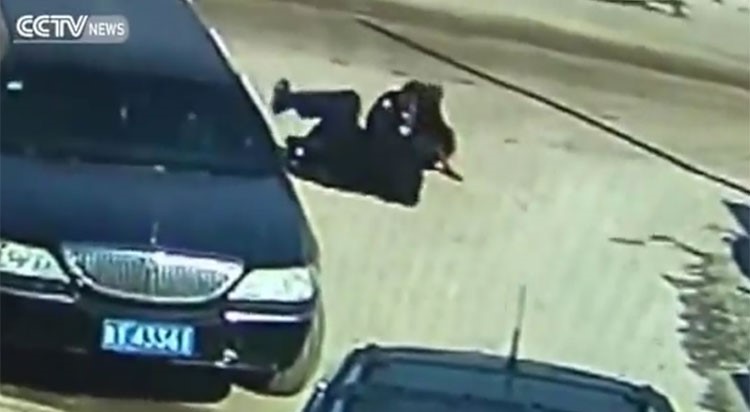 بالفيديو.. ستيني يستخدم الكونغ فو للتغلب على كلب متوحش