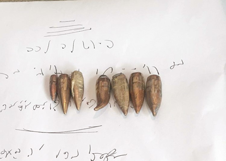 فوارغ الطلقات التي سقطت بالنادي ﻿