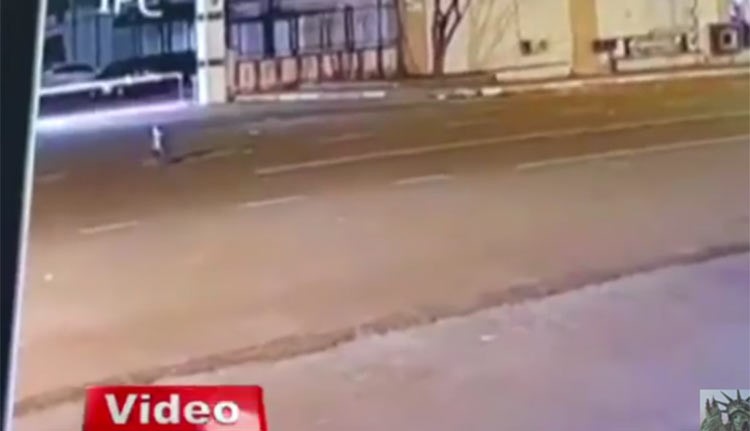 بالفيديو.. ما حقيقة هذا المخلوق الغريب الذي ظهر في تركيا؟
