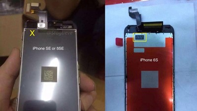 صورة مسربة لـiPhone 5SE تؤكد افتقاره للمس ثلاثي الأبعاد