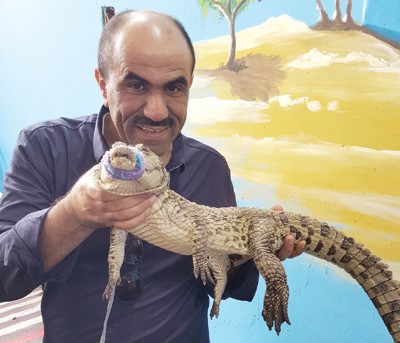 التماسيح في القرى النوبية﻿