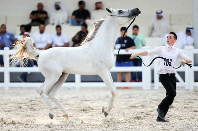  جانب من اختتام منافسات البطولة