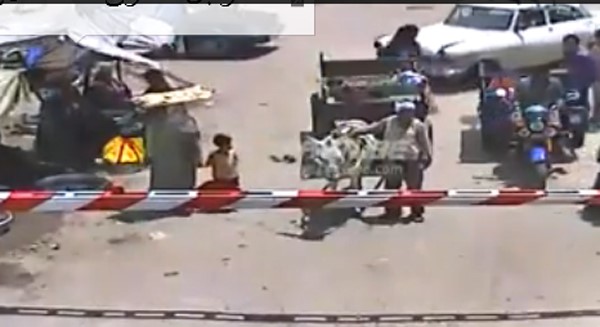 بالفيديو.. سائق "كارو" مصري كاد يلقى حتفه في سبيل إنقاذ حماره