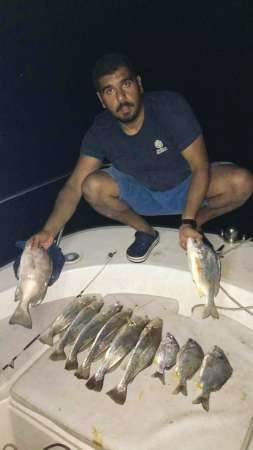 الشطي: 3 أوقات لصيد الشيم والدفان خيطه بنويبية