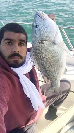 الشطي: 3 أوقات لصيد الشيم والدفان خيطه بنويبية