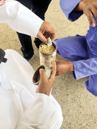 حبوب العبدلي المخباة في المطارة ﻿