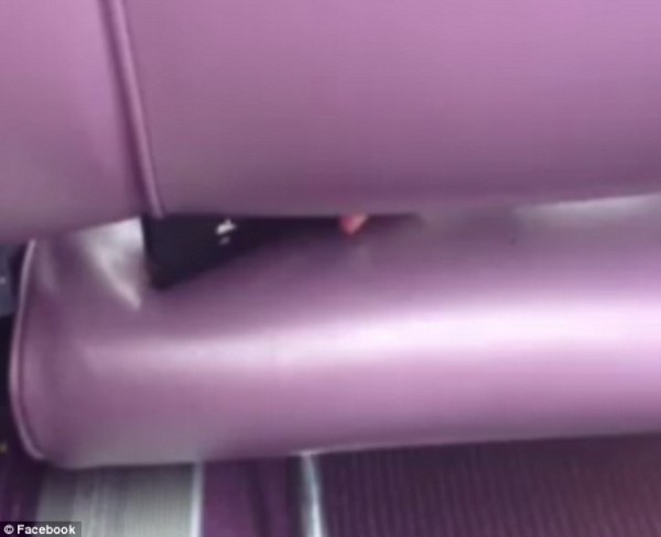 بالفيديو والصور.. سيدة تضبط رجلا يصورها من أسفل مقعد قطار!!