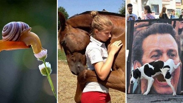 15 صورة التقطت في اللحظة المناسبة