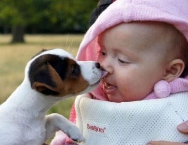 15 صورة التقطت في اللحظة المناسبة