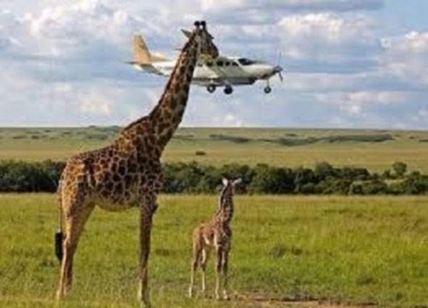 15 صورة التقطت في اللحظة المناسبة